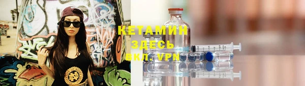 дмт Пересвет