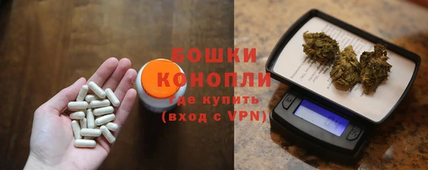 дмт Пересвет