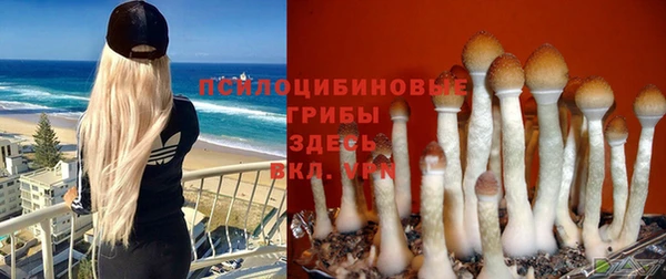 ешки Осташков